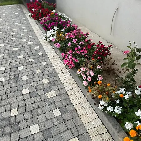 Selinti Luxury Apartment